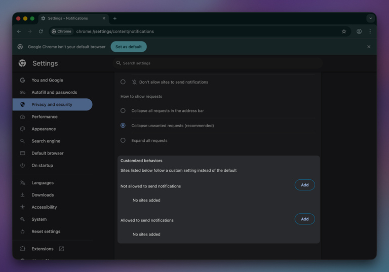 Google Chrome 2